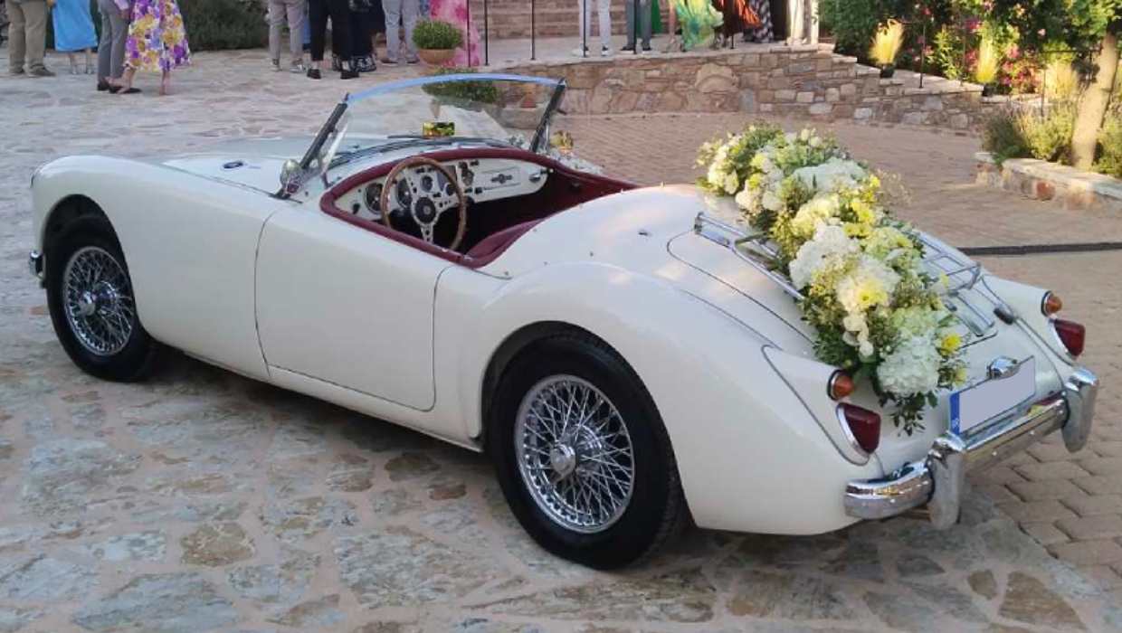 Weddings & Special Occasions